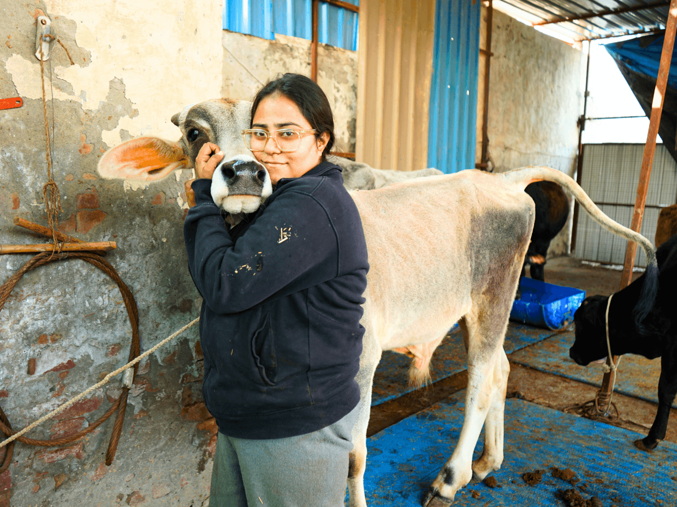 Hundreds Of Rescued Animals Depend On Daily Care, Food And Medical Treatment To Survive