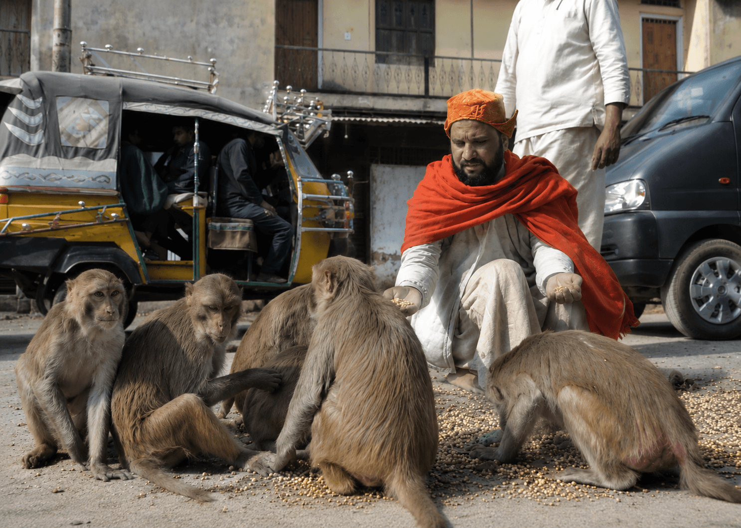 Every Meal You Support Brings Hope To A Hungry Monkey In Vrindavan