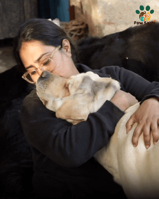 Paw Sathi Video