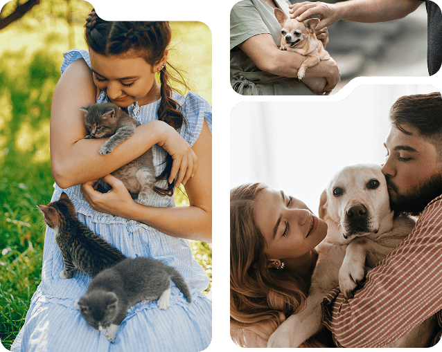 Adoption hero image