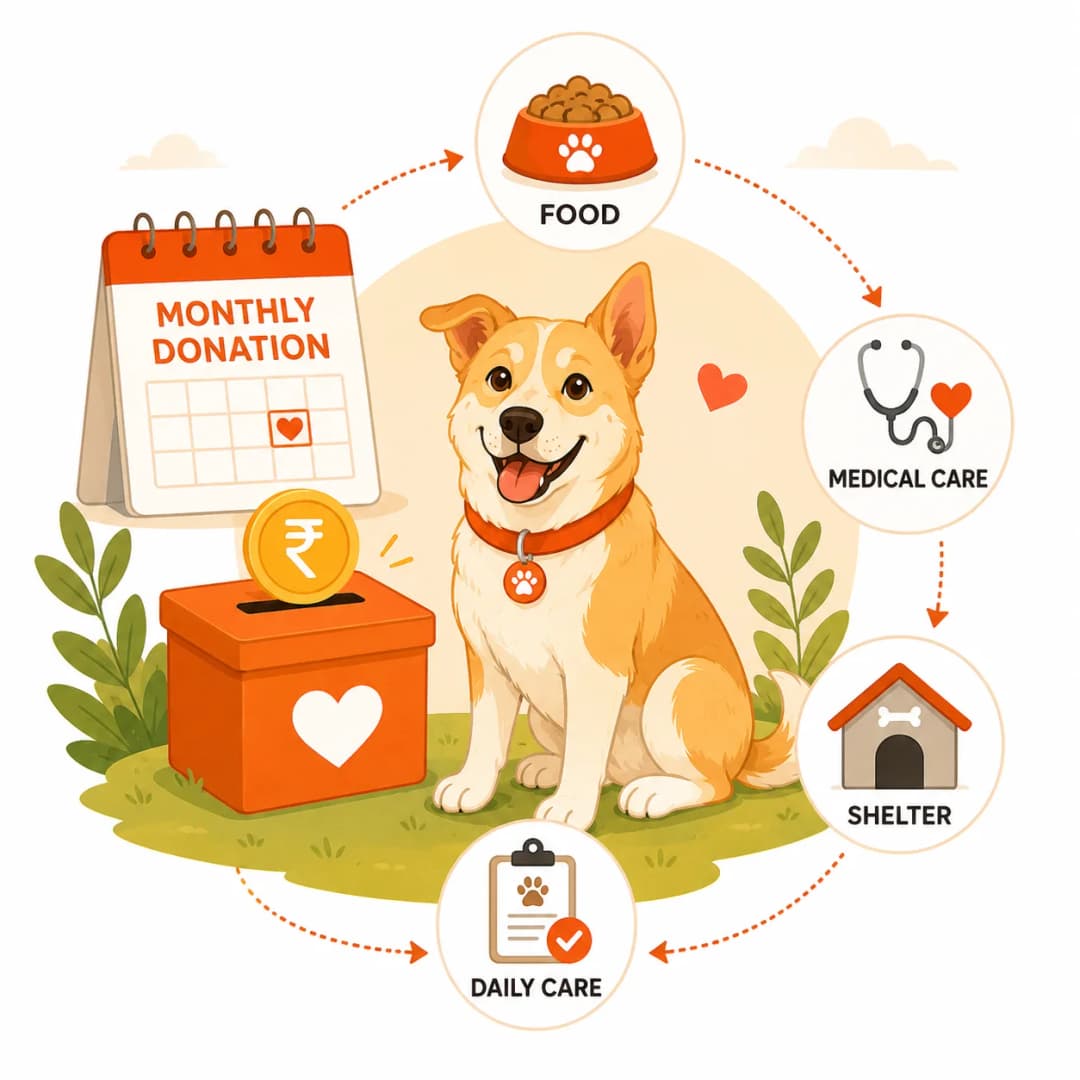 Volunteer with rescued dog